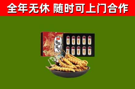 汕尾烟酒回收冬虫夏草礼盒.jpg